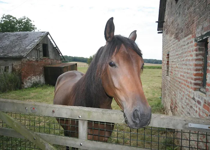 Le Prieuré D'hôtes Couette-café